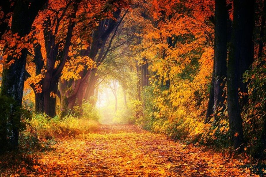UCCM Path